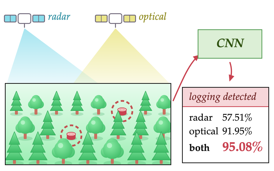Radar and optical satellite imagery combined by one CNN to detect selective logging
